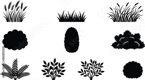 Botanical plant silhouette vector illustration set, black grass bush leaf icons collection, isolated nature foliage design elements for decoration