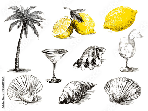 Eine vielseitige Sammlung freigestellter handgezeichneter Sommerelemente: Palme, Zitronen, Cocktails, Muscheln und Croissant für Designprojekte.