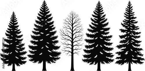 Conifer tree silhouette vector illustration set featuring pine and spruce forest shapes, black and white minimalist woodland design for nature graphics