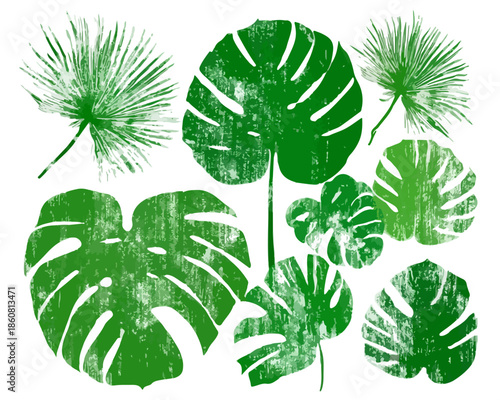 Sammlung von grünen, transparenten tropischen Blättern im Grunge-Stil, darunter Monstera- und Palmenblätter, ideal als Vektor-Designelemente für sommerliche Projekte.