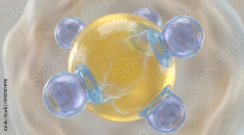 Lipophagy Mechanism: Lysosomes Fusing with Lipid Droplet for Fat Hydrolysis
