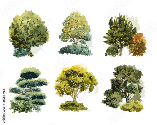 Set von sechs verschiedenen Baum- und Buschillustrationen in Aquarell-Optik, isoliert auf transparentem Hintergrund für Landschaftsgestaltung.