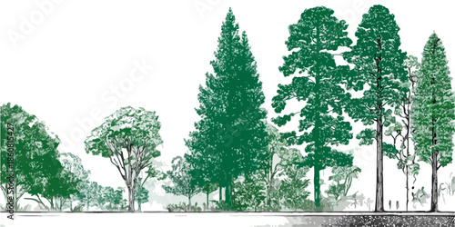 Illustrazione vettoriale di un assortimento di alberi e vegetazione, perfetta per progetti di design ecologico con sfondo trasparente.
