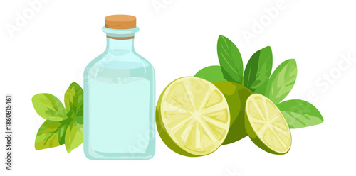 Illustrazione vettoriale di una bottiglia di vetro trasparente con liquido, lime freschi e foglie verdi, perfetta per bevande rinfrescanti.