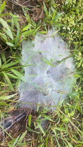 water drops on the ground