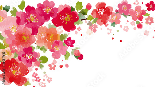 Delikatne różowo-czerwone kwiaty wiśni akwarelowe tworzą elegancką, przezroczystą ramkę, idealną do wiosennych zaproszeń i dekoracji.