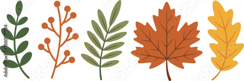 Vibrant autumn leaves and branches in warm colors