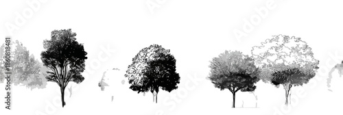 투명한 배경에 수채화 및 잉크 스타일로 그려진 다양한 형태의 나무 일러스트레이션 세트로, 건축 조경 디자인 및 그래픽 요소로 활용하기 적합합니다.
