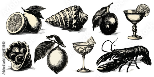 빈티지 스타일의 손그림 일러스트 세트로, 레몬, 조개, 칵테일, 랍스터 등 다양한 해산물과 음료, 과일 요소를 투명한 배경에 담아낸 그래픽 자원입니다.