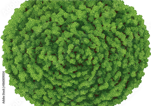 흰색 배경에 격리된 녹색 구형 바이러스 또는 미생물 세포의 3D 렌더링 이미지로, 생명 과학 및 의학 연구의 복잡한 구조를 시각화합니다.