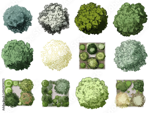 건축 및 조경 디자인 프로젝트에 적합한, 위에서 본 다양한 형태와 색상의 투명한 나무와 관목 그래픽 요소 모음.