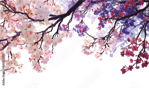 透明な白い背景に、水彩画のような優しいタッチで描かれたピンクと紫の桜の花が上部を優雅に飾り、春の訪れを告げる美しい和風の装飾イラストレーションで、様々なデザインに活用できる汎用性の高い素材です。