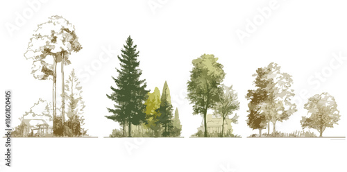 様々な種類の木々が手描き風の美しいイラストで描かれ、白い背景に分離された透明なデザイン要素として利用できる、自然をテーマにしたベクター素材コレクション。