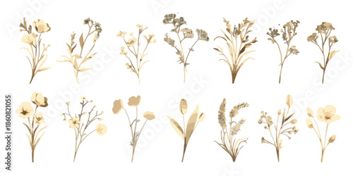 透明感のある水彩画風のベージュ系植物イラストセット、繊細な小花や葉、草木が優しく描かれ、結婚式や招待状、グリーティングカードのデザインに最適な自然素材コレクション