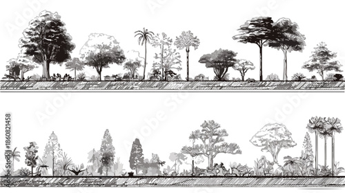 様々な種類の樹木や低木が黒と白のイラストで描かれ、透明な背景を持つデザイン素材として、景観や建築のプロジェクトに活用できるベクターコレクション。