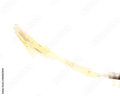 純粋な白の背景に鮮やかに輝く透明な光の筋が、未来への飛躍や高速なデータ転送を想起させる、ダイナミックで抽象的なデジタルエフェクト。