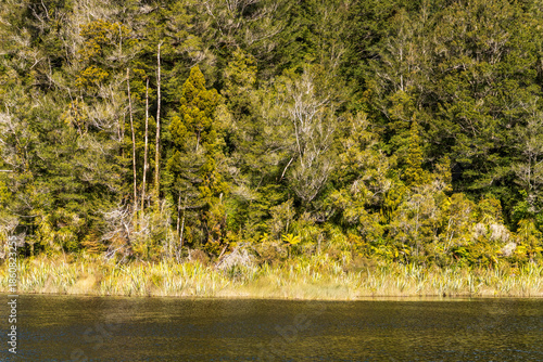 The very remote Lake Hanlon in the forest south of Karamea