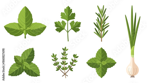 Flat lay of various green herbs on a white background