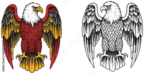 Hand Drawn Eagle Engraving Style Illustration, Two Versions, Color and Black White Sketch, American Bald Eagle Mascot, Heraldry Symbol Vector