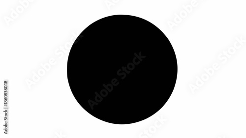 A perfect black circle on a white background.