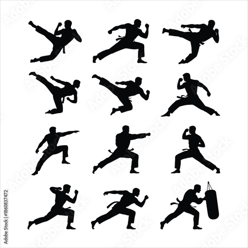 Multiple black silhouettes illustrating various dynamic martial arts poses and combat actions on a white surface