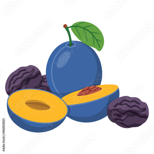 Plums icon set vector illustration fresh and dried isolated on white background ideal for whole half prune fruit design packaging or decorative project
