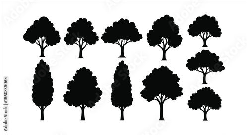 Collection of Silhouetted Trees - Various Shapes and Sizes