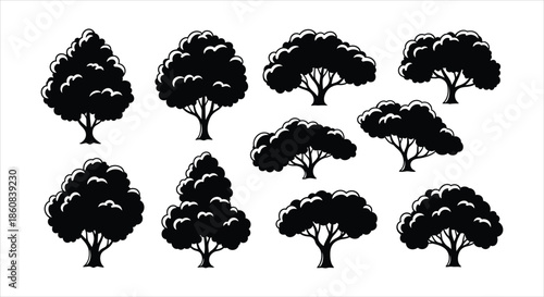 Collection of Silhouetted Trees on a White Background for Design