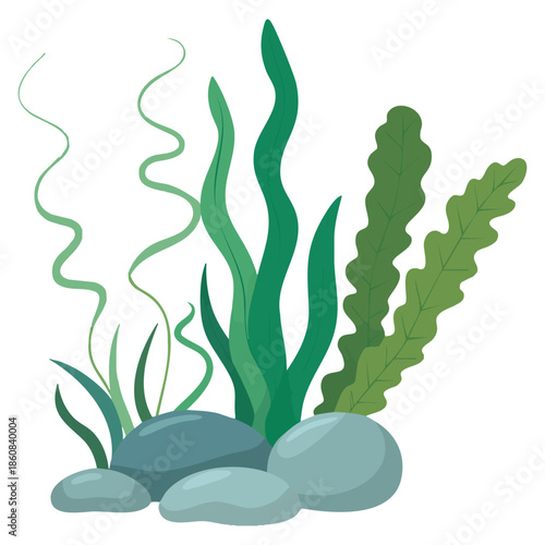 Set of different bottom underwater algae growing on rock vector illustration perfect for marine life ecosystem nature and underwater themed artwork