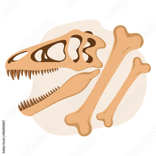 Skull and bones of Tyrannosaurus Rex ancient dinosaur skeleton vector illustration prehistoric reptile paleontology archaeology concept flat design icon