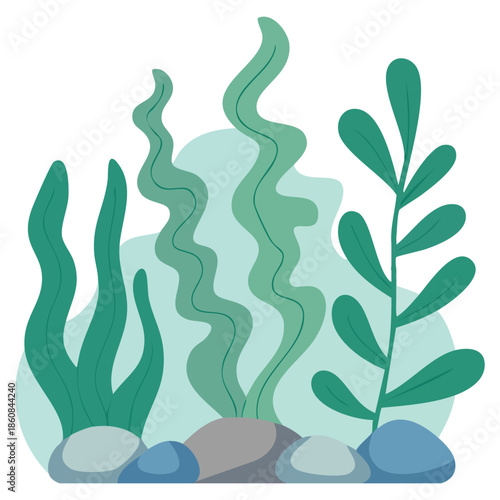 Underwater algae set growing on rock vector illustration perfect for marine life nature ecosystem educational and ocean themed artwork projects