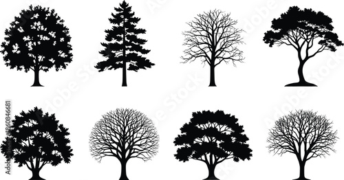  Tree silhouettes collection, deciduous and evergreen trees, detailed black vector illustration set for nature design, landscaping projects, logos, backgrounds, posters, prints