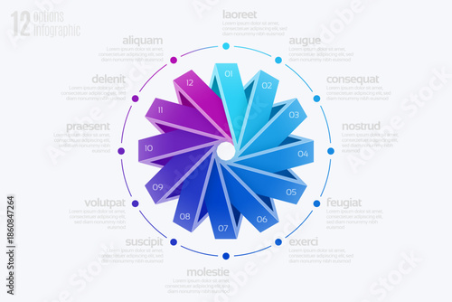 Circular diagram template with 12 options, infographic vector illustration.