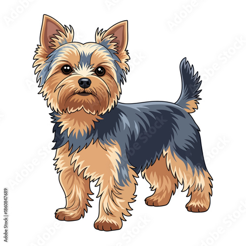 Charming Yorkshire Terrier Illustration with Detailed Fur Texture and Expressive Eyes.