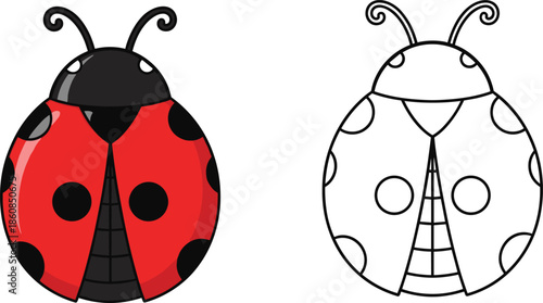 Red Ladybird Beetle Vector Icon and Black Outline Sketch for Coloring Page Isolated on White Background