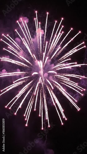 Colorful explosions illuminate a dark night sky with streaks, dots and bursts