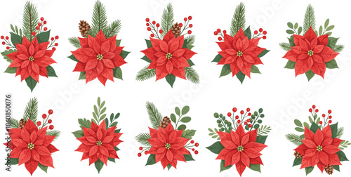 Red Holiday Star, Pine Cones, Berries, and Evergreen Leaves for Festive Floral Decor Vector.