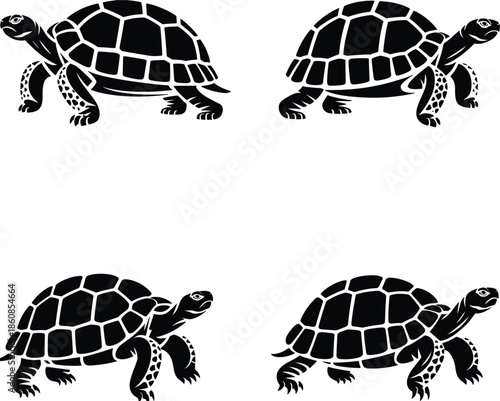 Four Black Silhouette Illustrations of Tortoises on White Background turtle reptile