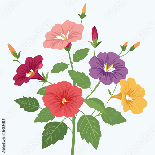 Colorful hibiscus flowers and buds on stems