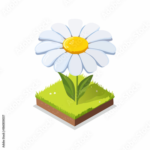 Daisy in isometric grass square with transparent background
