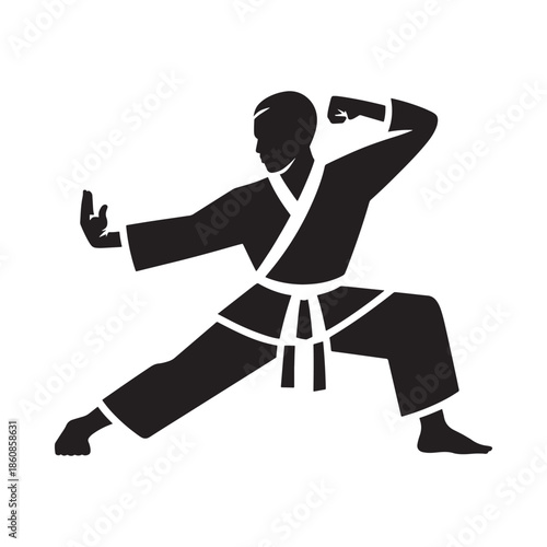 A silhouette of a person practicing martial arts in a dynamic pose