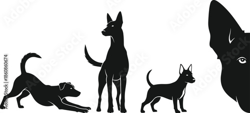 Black Silhouette Illustration of Various Dog Breeds in Different Poses Including Playing Standing and Peeking for Pet Care and Veterinary Concept