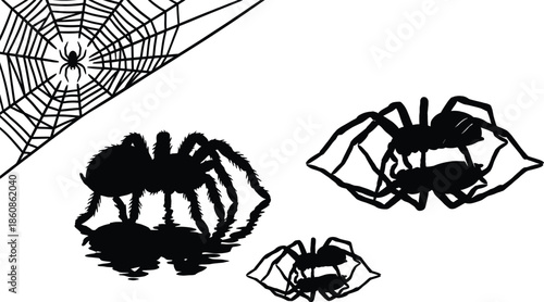 Spider silhouette set, tarantula spider web, creepy arachnid collection, halloween horror illustration isolated on white background vector art design icon