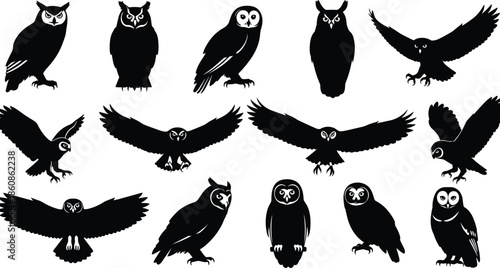 Collection of Detailed Owl Silhouettes, Nocturnal Birds in Flight and Perching Poses, Wise Predator Animal Set for Nature Graphic Design Projects