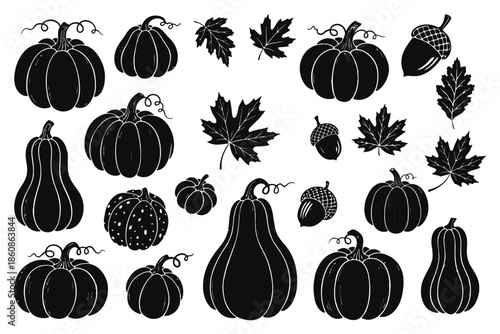 Pumpkin Ink Doodle Hand Drawn Halloween Autumn Harvest Illustration Fall