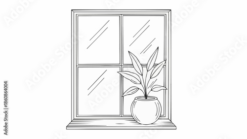 Hand drawn illustration of a potted plant on a windowsill.