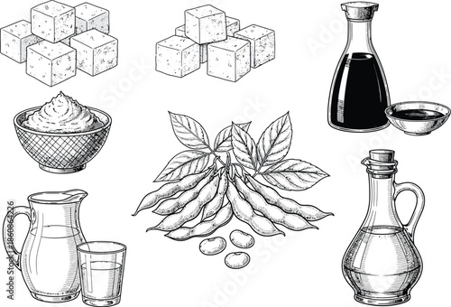 Collection of diverse soy products and ingredients