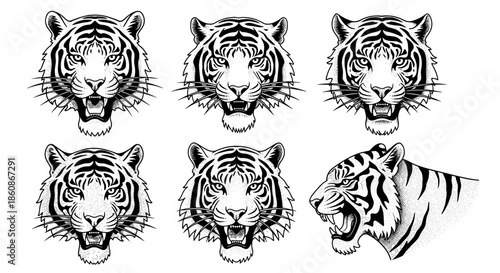 Set of Six Tiger Head Illustrations in Black and White.