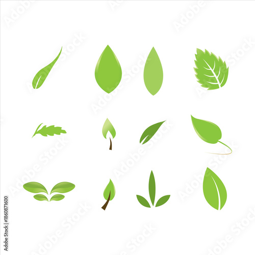 Collection of various green leaf icons.