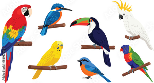 Isometric Tropical Birds Vector Illustration Set Showing Colorful Parrots, Toucans, and Exotic Perching Birds for Nature Design
